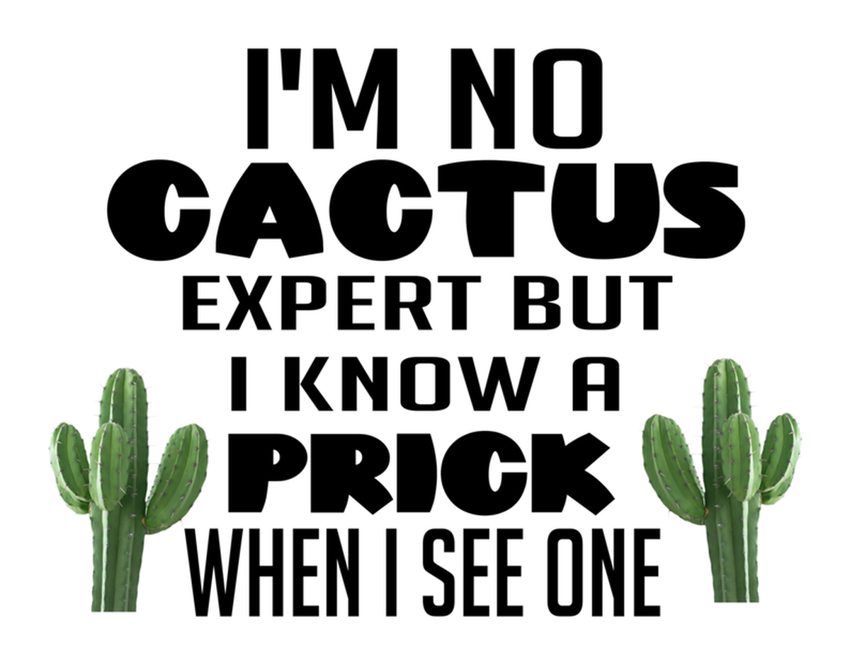Cactus Expert Vinyl Sticker: Witty sayings about cacti for home or office decoration - I love cactus, cactus sticker, funny cactus stickers.