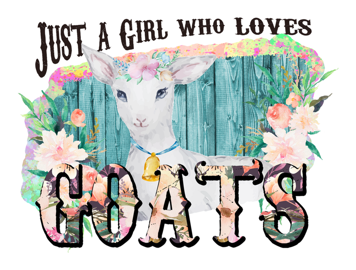 Just a Girl Who Loves Boats Vinyl Sticker: Boating Funny Quote Waterproof Sticker for Car, Laptop, Window