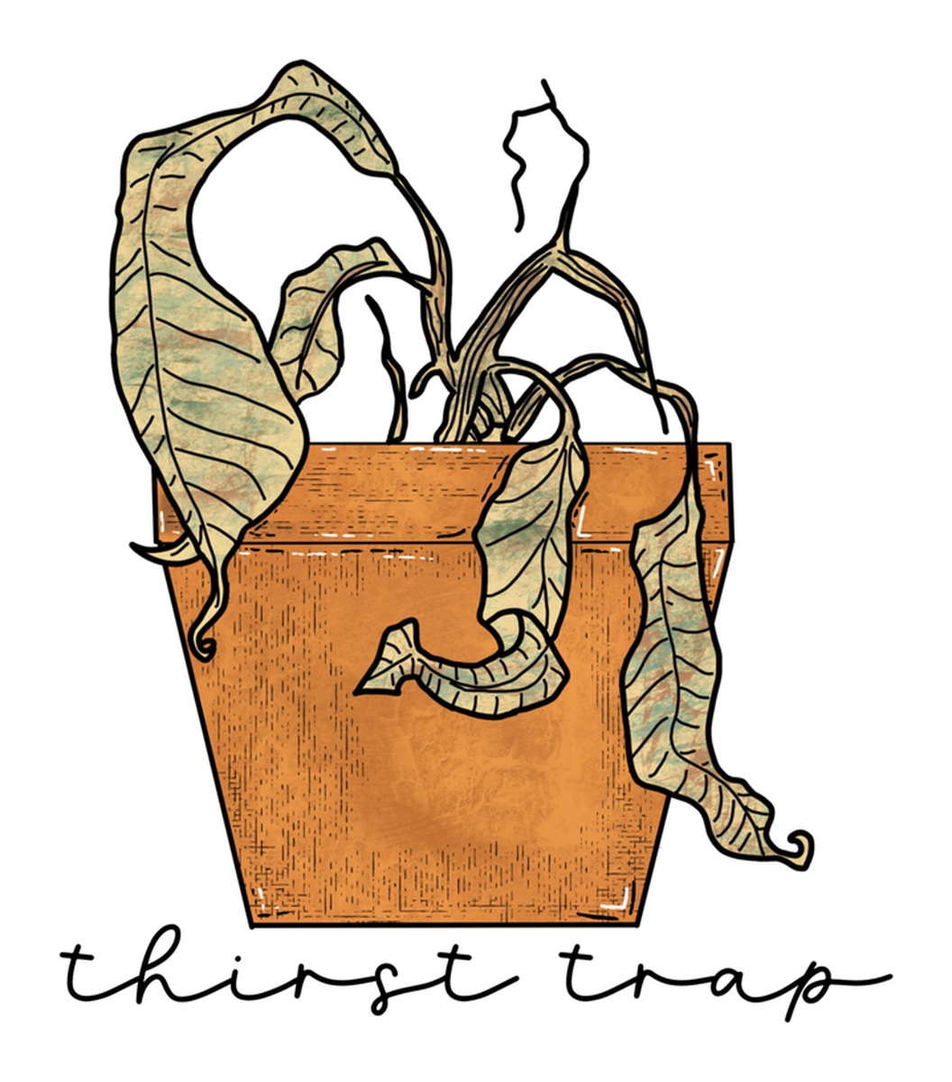 Hand-Drawn Potted Plant & Cactus in Brown Planter, Watering Can, Thirst Trap" (Etsy) Vinyl Sticker