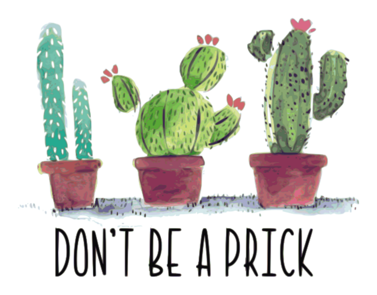 Cactus Humor: Cartoon Style Cactus Vinyl Sticker, Colorful, 4 cacti, Don't be a dick message, Perfect for Cactus Lovers